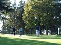 Golfeur