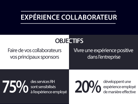 experience-collaborateur