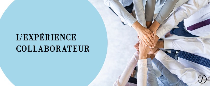 expérience collaborateur