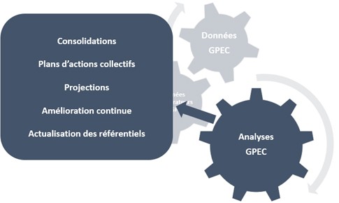 Management des competences via un outil