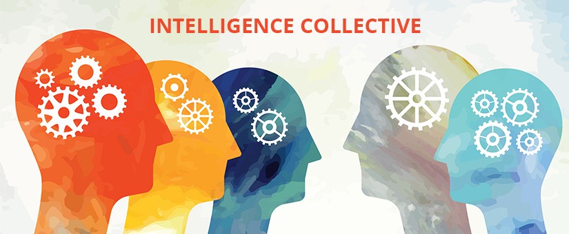 Intelligence collective et management