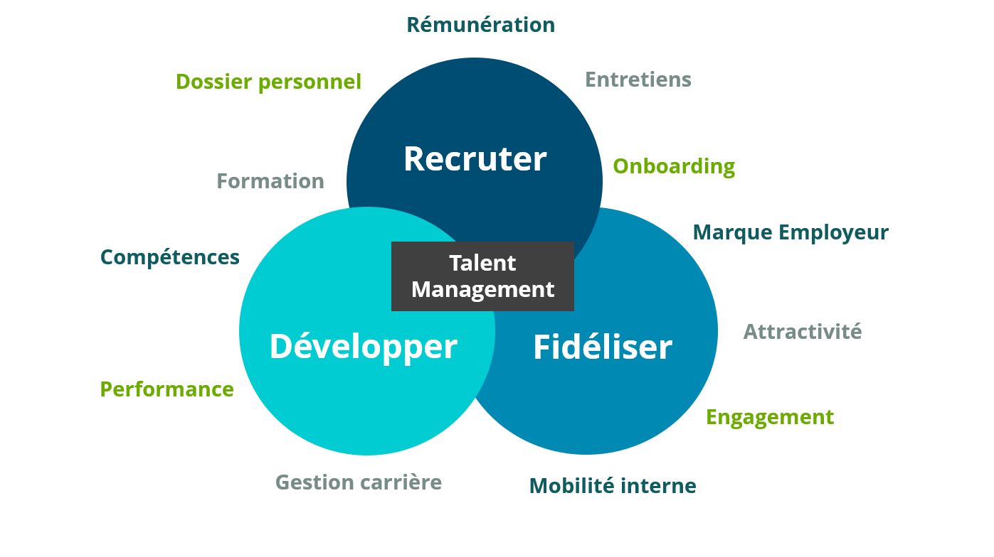 La gestion des talents définitions, leviers et bonnes pratiques pour réussir